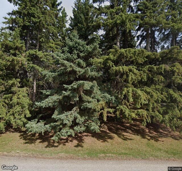 Street view of 14 Wedgewood Crescent NW, Edmonton