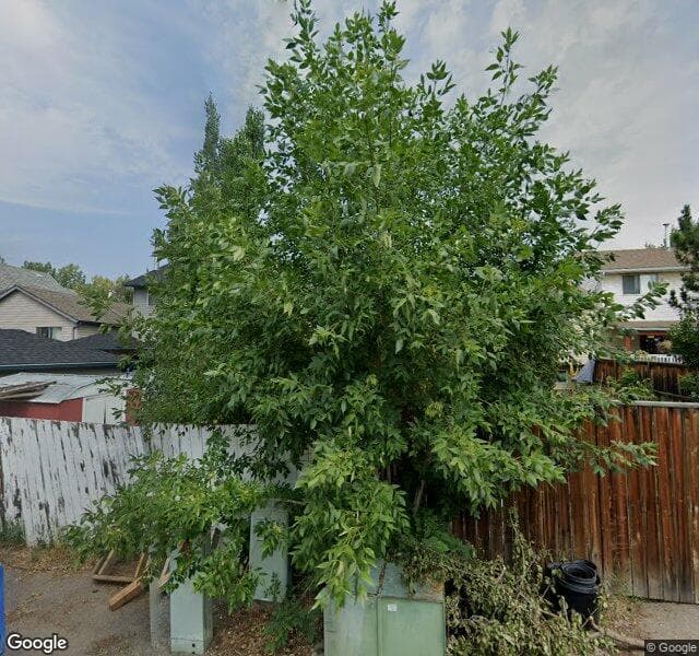 Street view of 114 Woodbrook Way SW, Calgary