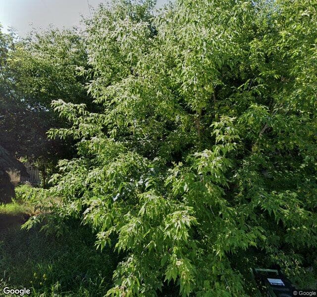 Street view of 8114 81 Avenue NW, Edmonton