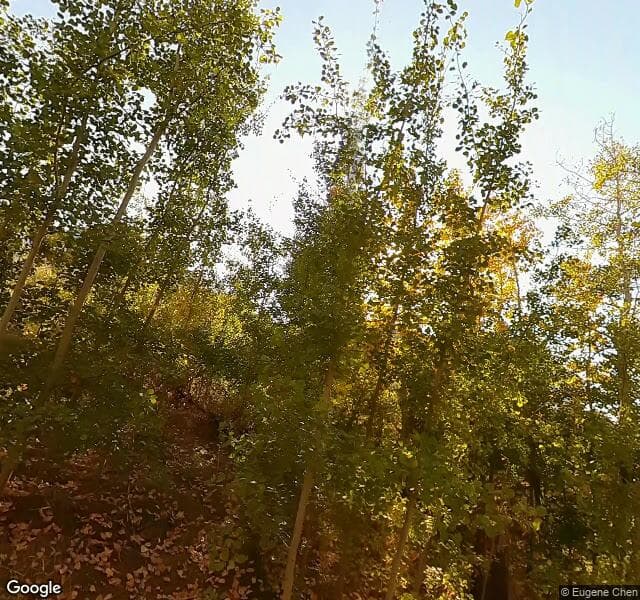 Street view of 3911 3A Avenue SW, Edmonton