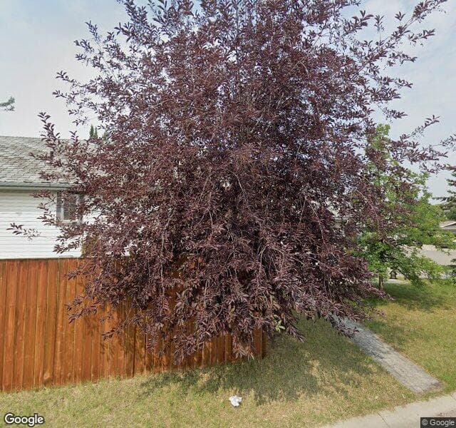 Street view of 230 Auburn Bay Cove SE, Calgary
