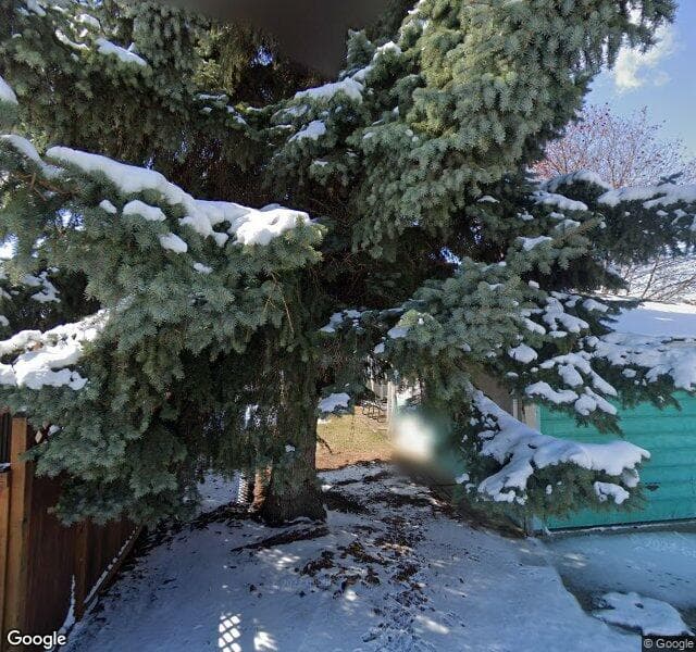 Street view of 1342 Colgrove Avenue NE, Calgary