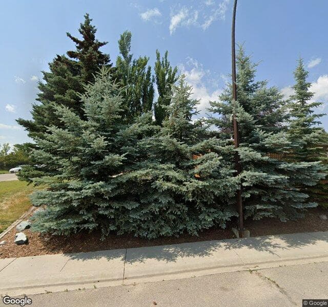 Street view of 316 Cantrell Drive SW, Calgary