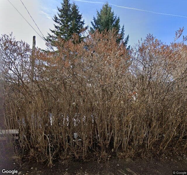 Street view of 512 51 Avenue SW, Calgary