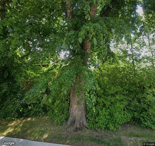 Street view of 10955 90 Avenue NW, Edmonton
