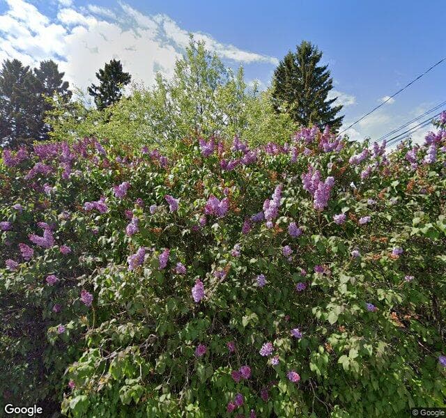Street view of 216 43 Avenue NW, Calgary