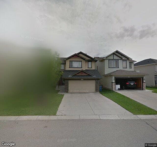 Street view of 163 Chapalina Rise SE, Calgary