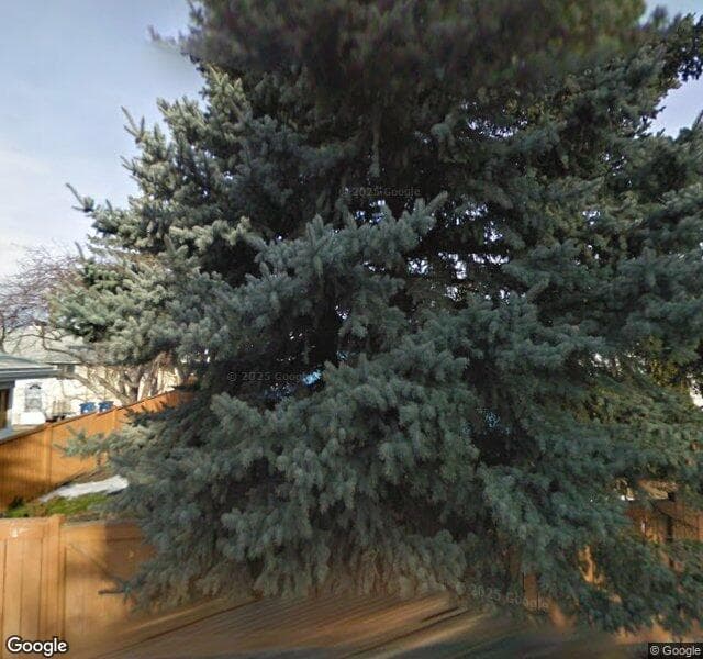 Street view of 3528 49 Street SW, Calgary