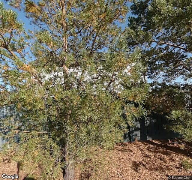 Street view of 21415 94 Avenue NW, Edmonton