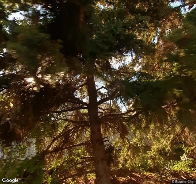 Street view of 8303 184 Street NW, Edmonton