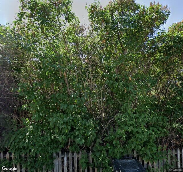 Street view of 430 28 Avenue NW, Calgary