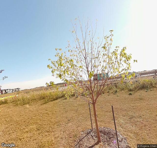 Street view of 4948 Hawthorn Place SW, Edmonton