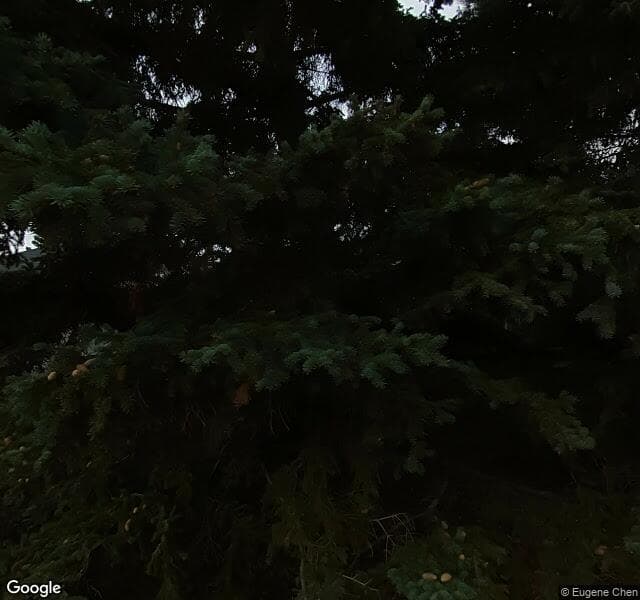 Street view of 4011 74 Street NW, Edmonton