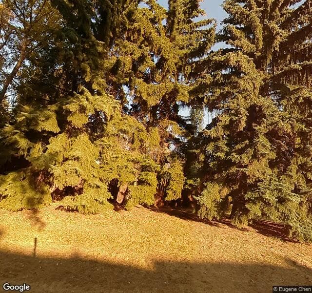 Street view of 8223 24 Avenue NW, Edmonton