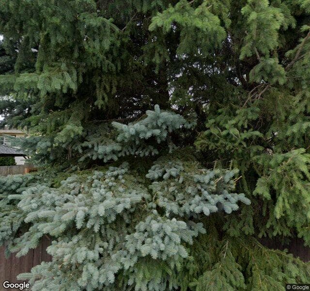 Street view of 4328 37 Street NW, Edmonton