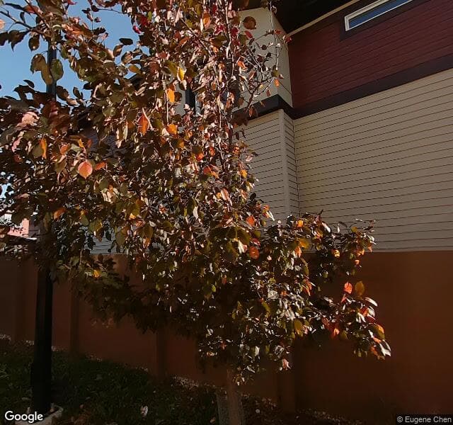 Street view of 3903 8 Avenue SW, Edmonton