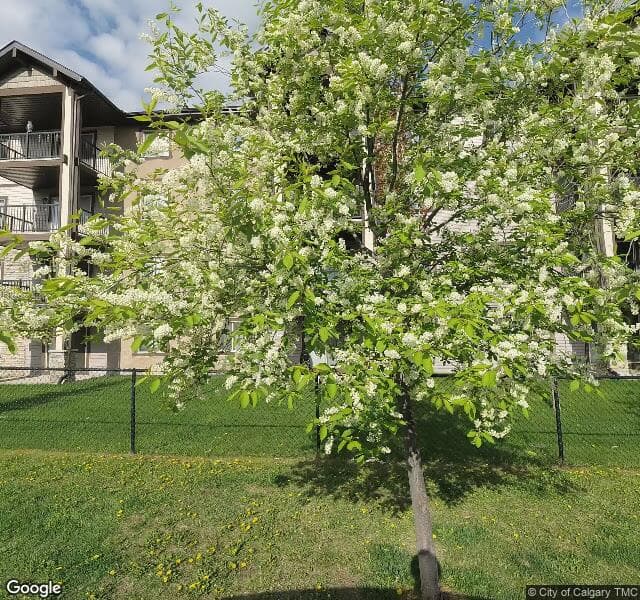 Street view of 3212-60 Panatella Street NW, Calgary
