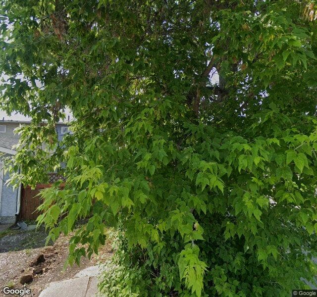 Street view of 8304 133A Avenue NW, Edmonton
