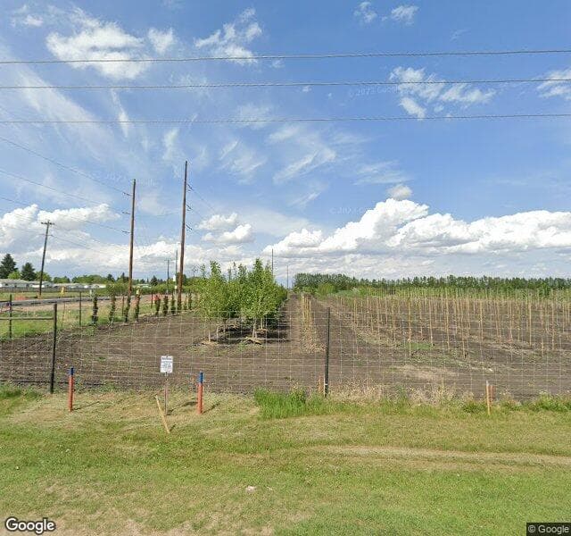 Street view of 643 176 Avenue NE, Edmonton
