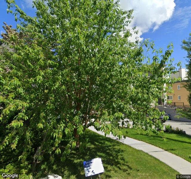 Street view of 826 Durham Avenue SW, Calgary